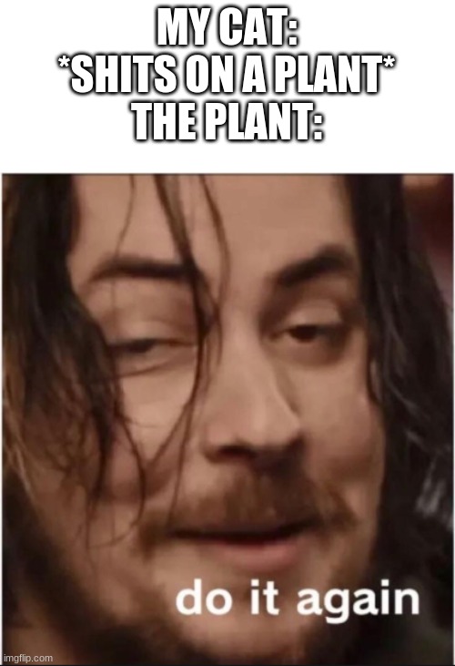 Do it again | MY CAT: *SHITS ON A PLANT*
THE PLANT: | image tagged in do it again | made w/ Imgflip meme maker