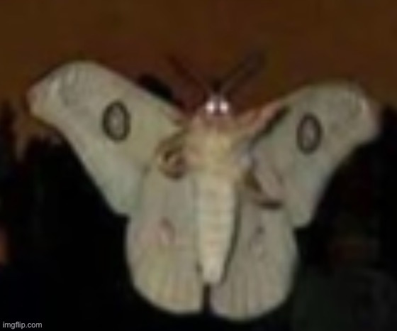 The Möth | image tagged in the m th | made w/ Imgflip meme maker