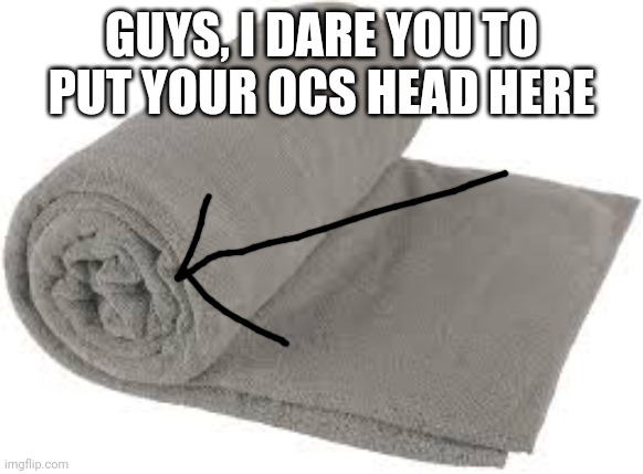 Towel burrito | GUYS, I DARE YOU TO PUT YOUR OCS HEAD HERE | image tagged in towel burrito | made w/ Imgflip meme maker