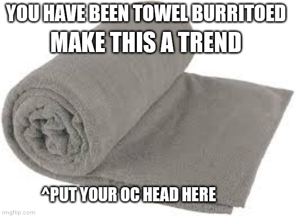 Trend making time | YOU HAVE BEEN TOWEL BURRITOED; MAKE THIS A TREND; ^PUT YOUR OC HEAD HERE | image tagged in towel burrito | made w/ Imgflip meme maker