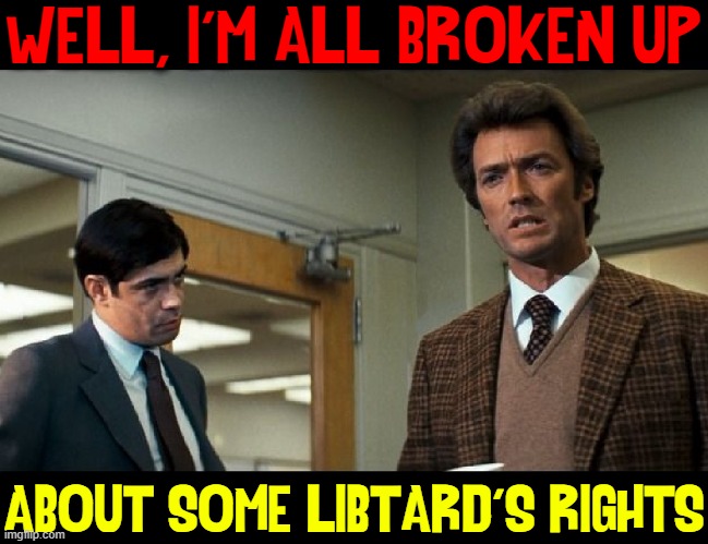 The Legacy of Dirty Harry | WELL, I'M ALL BROKEN UP; ABOUT SOME LIBTARD'S RIGHTS | image tagged in vince vance,dirty harry,rioting,looting,liberals,memes | made w/ Imgflip meme maker