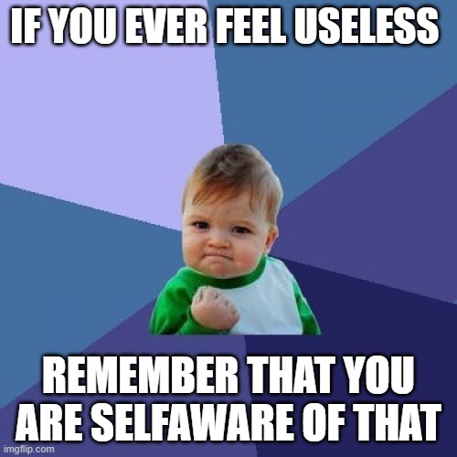 dang savage | IF YOU EVER FEEL USELESS; REMEMBER THAT YOU ARE SELFAWARE OF THAT | image tagged in memes,success kid | made w/ Imgflip meme maker