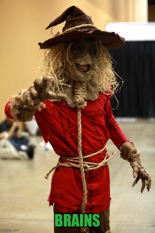 NICE SCARECROW | BRAINS | image tagged in scarecrow,cosplay | made w/ Imgflip meme maker