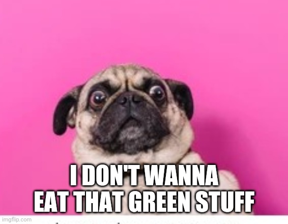 I DON'T WANNA EAT THAT GREEN STUFF | made w/ Imgflip meme maker
