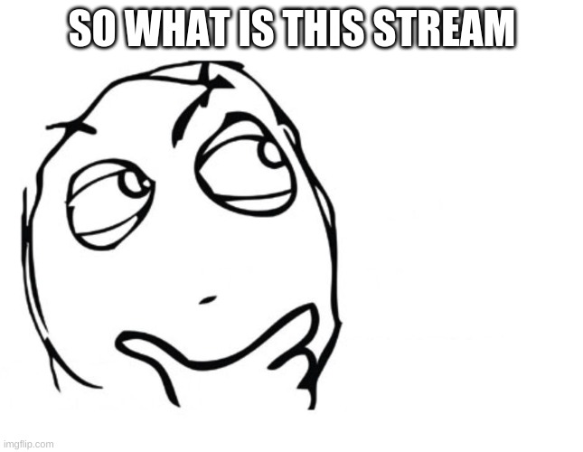 hmmm | SO WHAT IS THIS STREAM | image tagged in hmmm | made w/ Imgflip meme maker
