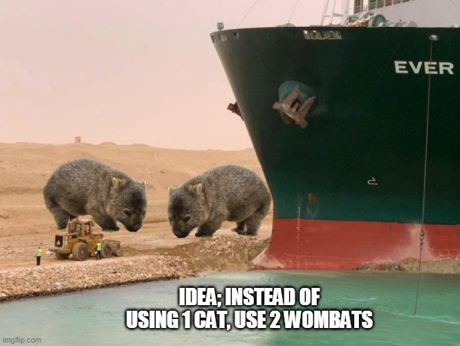 IDEA; INSTEAD OF USING 1 CAT, USE 2 WOMBATS | image tagged in wombat power | made w/ Imgflip meme maker