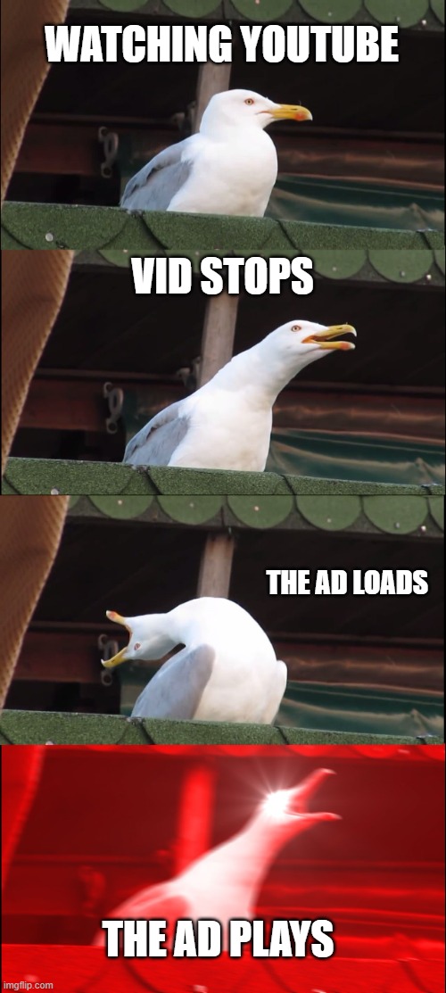 Inhaling Seagull | WATCHING YOUTUBE; VID STOPS; THE AD LOADS; THE AD PLAYS | image tagged in memes,inhaling seagull | made w/ Imgflip meme maker