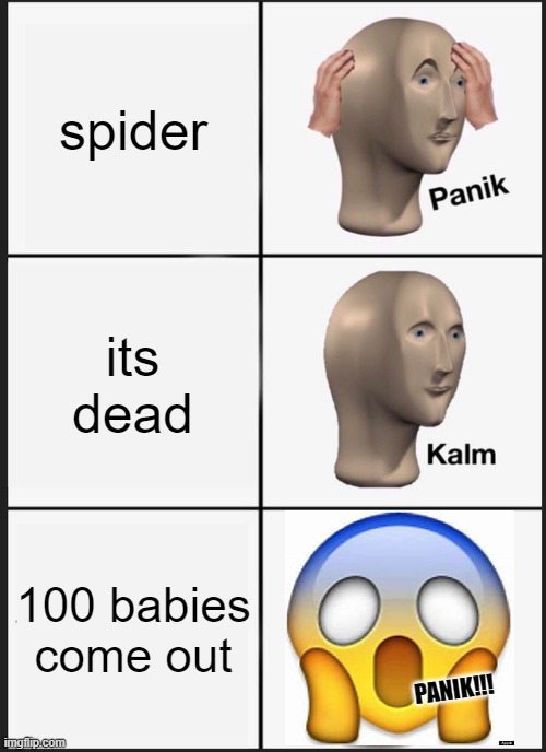 PANIKK!!! | spider; its dead; 100 babies come out; PANIK!!! | image tagged in memes,panik kalm panik,arachnophobia | made w/ Imgflip meme maker