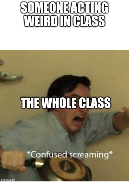 confused screaming | SOMEONE ACTING WEIRD IN CLASS; THE WHOLE CLASS | image tagged in confused screaming | made w/ Imgflip meme maker