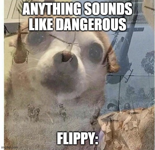 HTF MEME | ANYTHING SOUNDS LIKE DANGEROUS; FLIPPY: | image tagged in ptsd chihuahua | made w/ Imgflip meme maker
