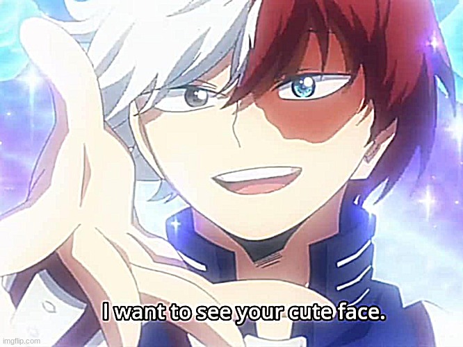 . | image tagged in todoroki i want to see your cute face | made w/ Imgflip meme maker