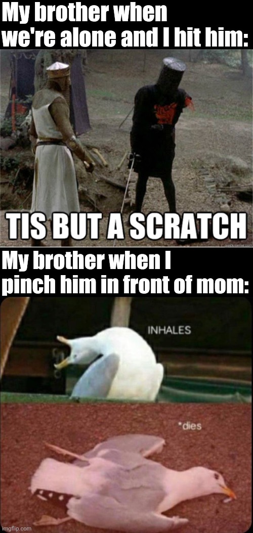 My brother when we're alone and I hit him:; My brother when I pinch him in front of mom: | image tagged in tis but a scratch,inhales dies bird | made w/ Imgflip meme maker