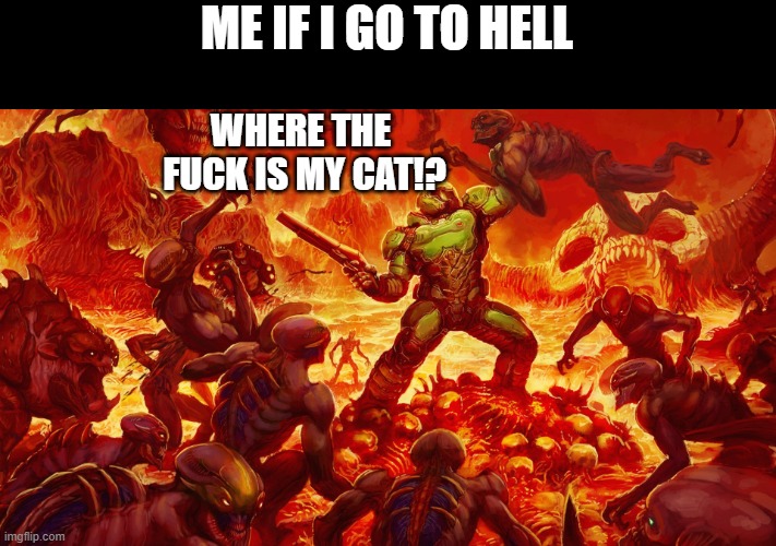 hes still lost lol | ME IF I GO TO HELL; WHERE THE  FUCK IS MY CAT!? | image tagged in doomguy,cat | made w/ Imgflip meme maker