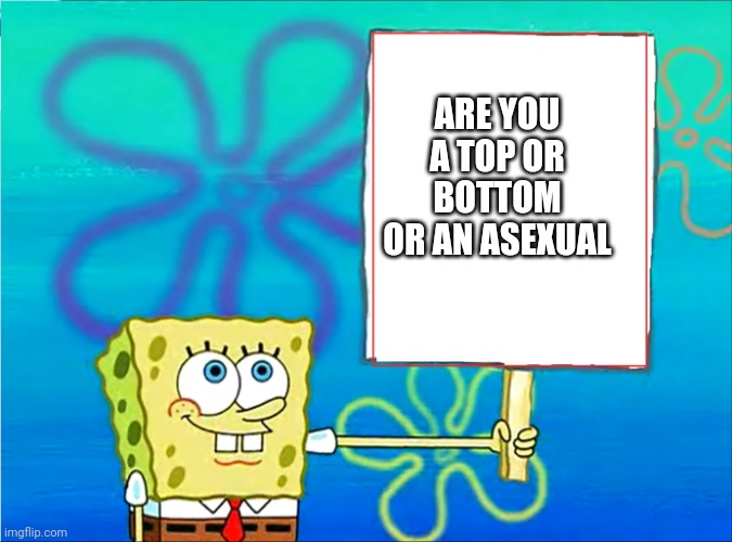 I'm a bottom | ARE YOU A TOP OR BOTTOM OR AN ASEXUAL | image tagged in spongebob with a sign | made w/ Imgflip meme maker
