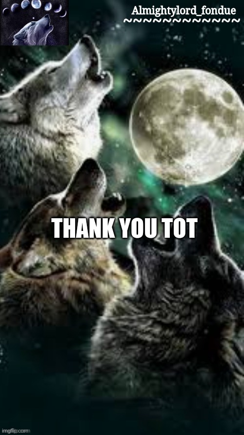 Fondue wolf template | THANK YOU TOT | image tagged in fondue wolf template | made w/ Imgflip meme maker