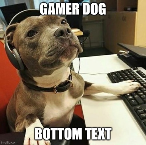pit bull tech support | GAMER DOG; BOTTOM TEXT | image tagged in pit bull tech support | made w/ Imgflip meme maker