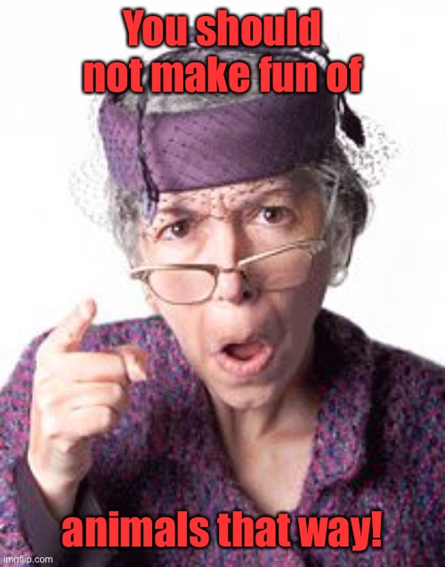 Scolding old lady | You should not make fun of animals that way! | image tagged in scolding old lady | made w/ Imgflip meme maker