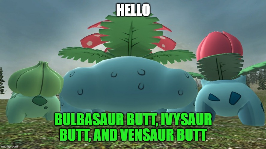 HELLO; BULBASAUR BUTT, IVYSAUR BUTT, AND VENSAUR BUTT | image tagged in pokemon | made w/ Imgflip meme maker
