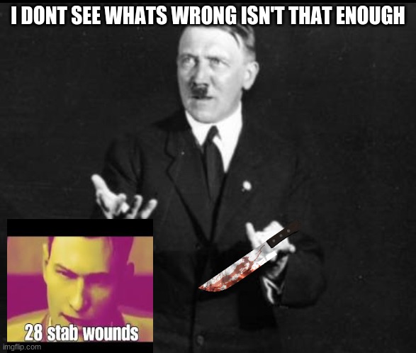 whats wrong | I DONT SEE WHATS WRONG ISN'T THAT ENOUGH | image tagged in i don t see what s wrong with that hitler,funny memes | made w/ Imgflip meme maker