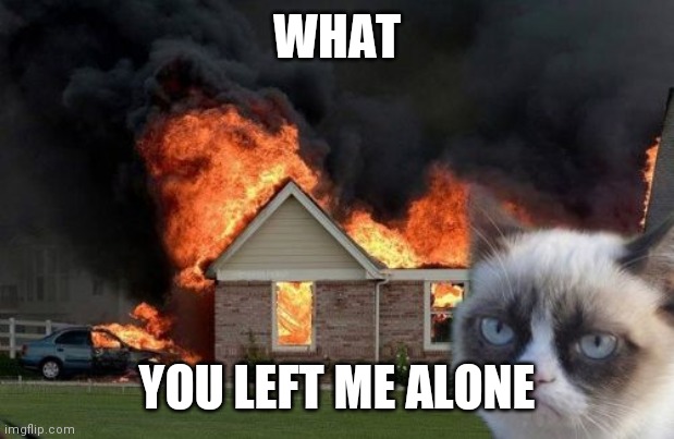 Burn Kitty | WHAT; YOU LEFT ME ALONE | image tagged in memes,burn kitty,grumpy cat | made w/ Imgflip meme maker