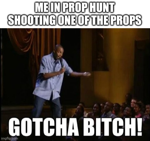 gotcha bitch | ME IN PROP HUNT SHOOTING ONE OF THE PROPS | image tagged in gotcha bitch | made w/ Imgflip meme maker