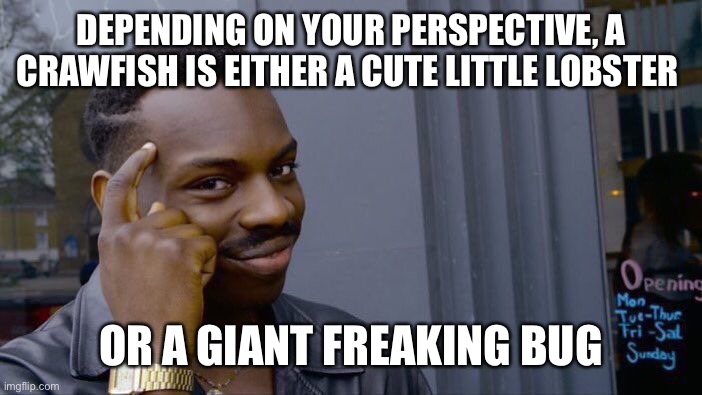 Roll Safe Think About It Meme | DEPENDING ON YOUR PERSPECTIVE, A CRAWFISH IS EITHER A CUTE LITTLE LOBSTER; OR A GIANT FREAKING BUG | image tagged in memes,roll safe think about it | made w/ Imgflip meme maker