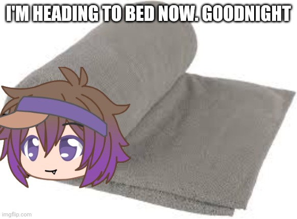 Towel burrito | I'M HEADING TO BED NOW. GOODNIGHT | image tagged in towel burrito | made w/ Imgflip meme maker