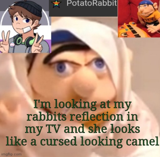 Hi | I'm looking at my rabbits reflection in my TV and she looks like a cursed looking camel | image tagged in potatorabbit announcement template | made w/ Imgflip meme maker