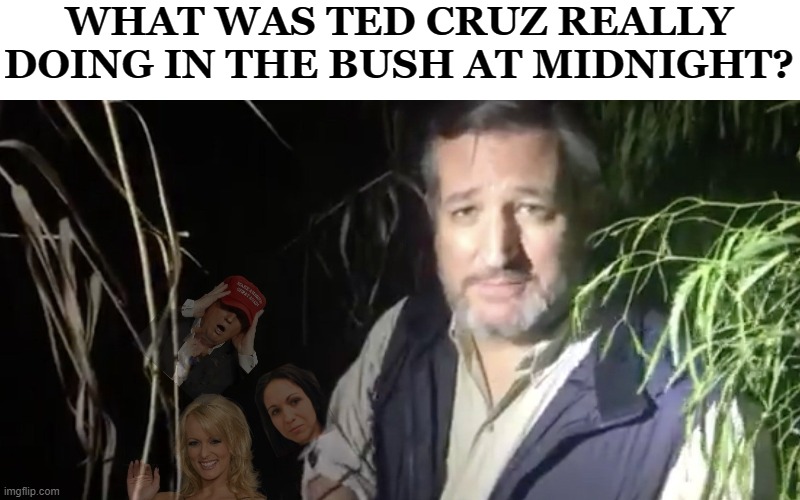 Ted Cruz in the bush at midnight - was that an orgy or something? | WHAT WAS TED CRUZ REALLY DOING IN THE BUSH AT MIDNIGHT? | image tagged in ted cruz,cruz,trump,stormy daniels,hiding,bush | made w/ Imgflip meme maker