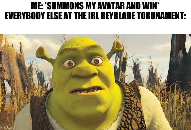 noice | ME: *SUMMONS MY AVATAR AND WIN*
EVERYBODY ELSE AT THE IRL BEYBLADE TORUNAMENT: | image tagged in surprised shrek | made w/ Imgflip meme maker