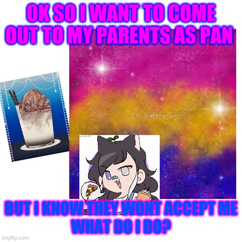 i need help | OK SO I WANT TO COME OUT TO MY PARENTS AS PAN; BUT I KNOW THEY WONT ACCEPT ME

WHAT DO I DO? | made w/ Imgflip meme maker