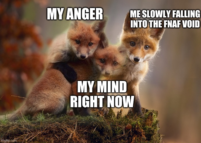 yes | ME SLOWLY FALLING INTO THE FNAF VOID; MY ANGER; MY MIND RIGHT NOW | image tagged in the three foxes of life | made w/ Imgflip meme maker
