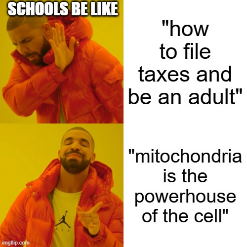 Drake Hotline Bling Meme | SCHOOLS BE LIKE; "how to file taxes and be an adult"; "mitochondria is the powerhouse of the cell" | image tagged in memes,drake hotline bling | made w/ Imgflip meme maker