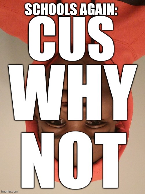 WHY NOT | SCHOOLS AGAIN: CUS | image tagged in why not | made w/ Imgflip meme maker