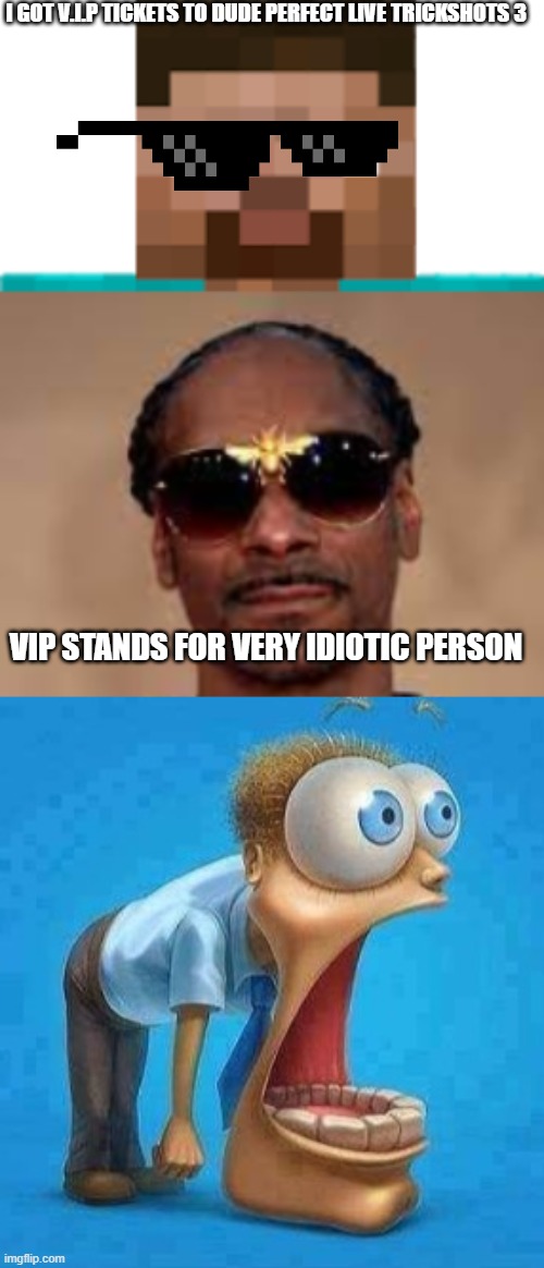 true meaning of V.I.P | I GOT V.I.P TICKETS TO DUDE PERFECT LIVE TRICKSHOTS 3; VIP STANDS FOR VERY IDIOTIC PERSON | image tagged in funny | made w/ Imgflip meme maker