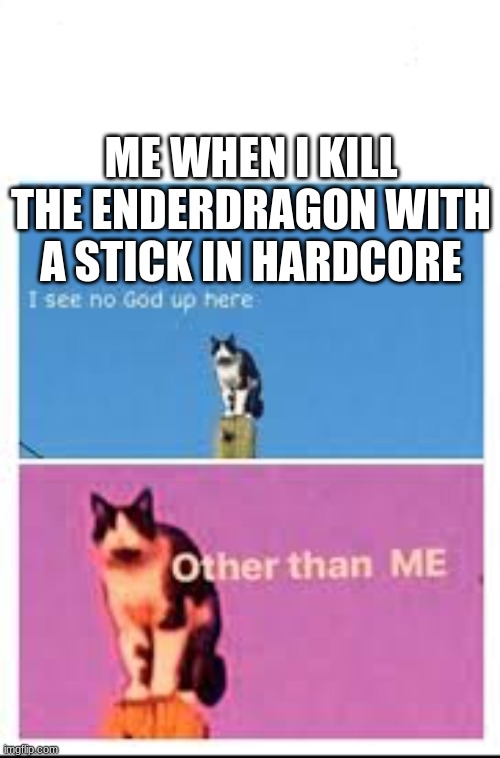 do the challenge | ME WHEN I KILL THE ENDERDRAGON WITH A STICK IN HARDCORE | image tagged in better i see no god cat | made w/ Imgflip meme maker