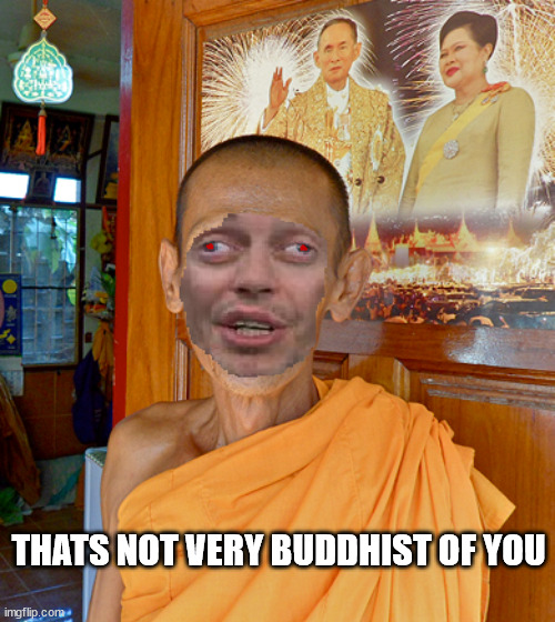 Not Very Buddhist Of You | THATS NOT VERY BUDDHIST OF YOU | image tagged in buddhism,irony,funny | made w/ Imgflip meme maker