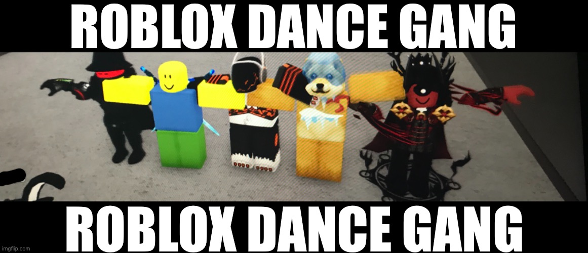 Take a wild guess as to which one is me (cropped out usernames for privacy) | ROBLOX DANCE GANG; ROBLOX DANCE GANG | made w/ Imgflip meme maker