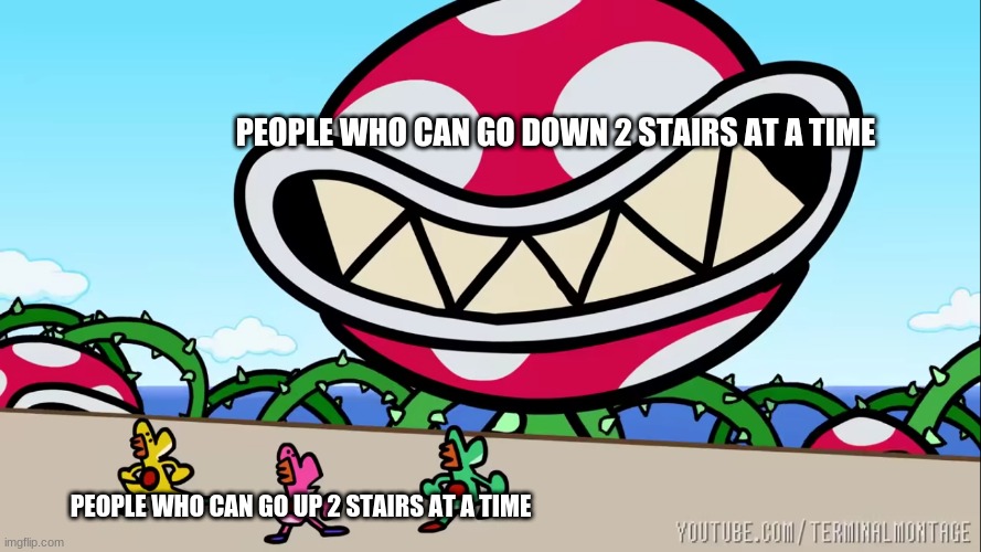 PEOPLE WHO CAN GO DOWN 2 STAIRS AT A TIME; PEOPLE WHO CAN GO UP 2 STAIRS AT A TIME | image tagged in memes | made w/ Imgflip meme maker