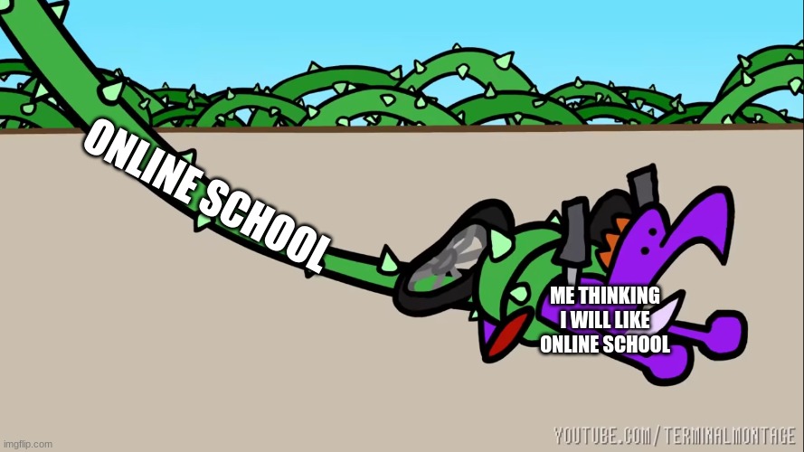 ONLINE SCHOOL; ME THINKING I WILL LIKE ONLINE SCHOOL | image tagged in memes | made w/ Imgflip meme maker