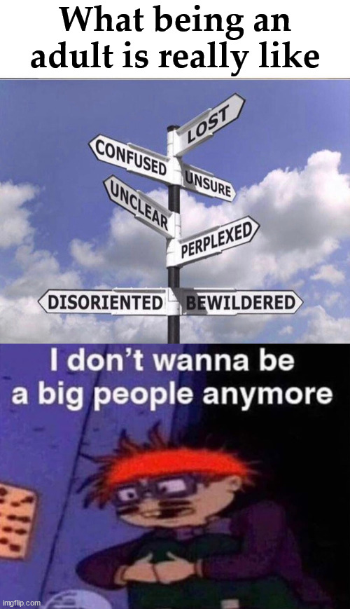 Me going through life. | What being an adult is really like | image tagged in i don't wanna be a big people anymore,life | made w/ Imgflip meme maker