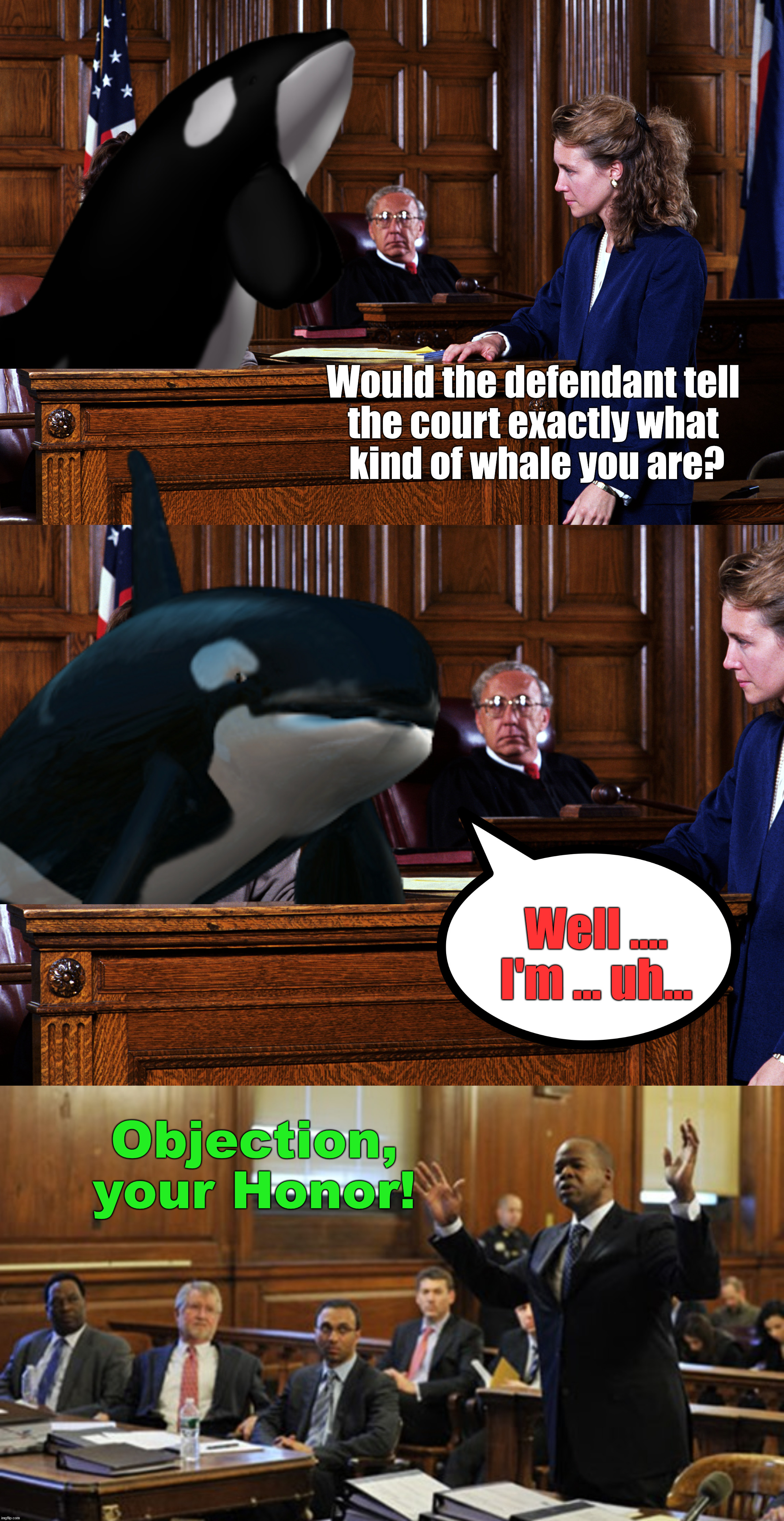 Incriminating yourself | image tagged in killer whale,courtroom | made w/ Imgflip meme maker