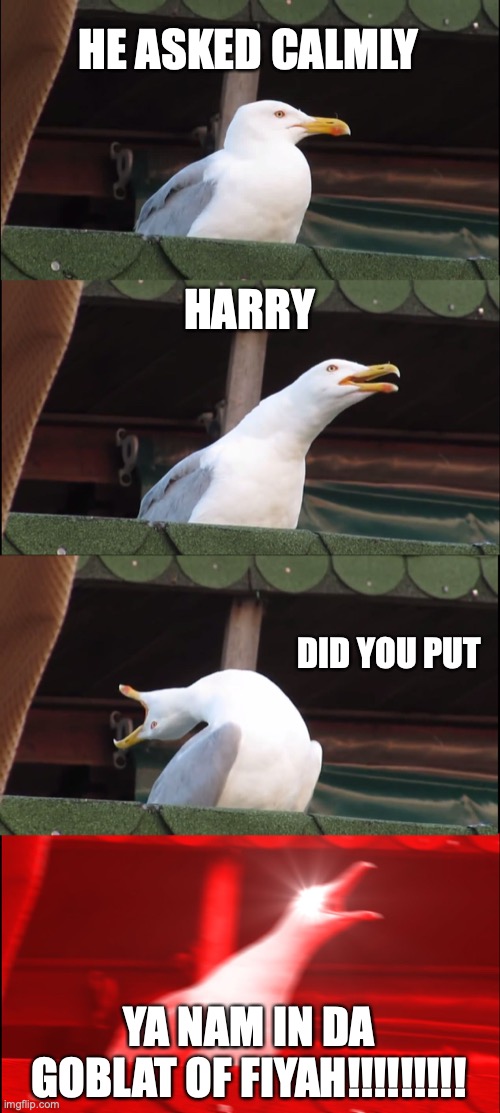 Harry Potter Goblet of fire meme seagull | HE ASKED CALMLY; HARRY; DID YOU PUT; YA NAM IN DA GOBLAT OF FIYAH!!!!!!!!! | image tagged in memes,inhaling seagull | made w/ Imgflip meme maker