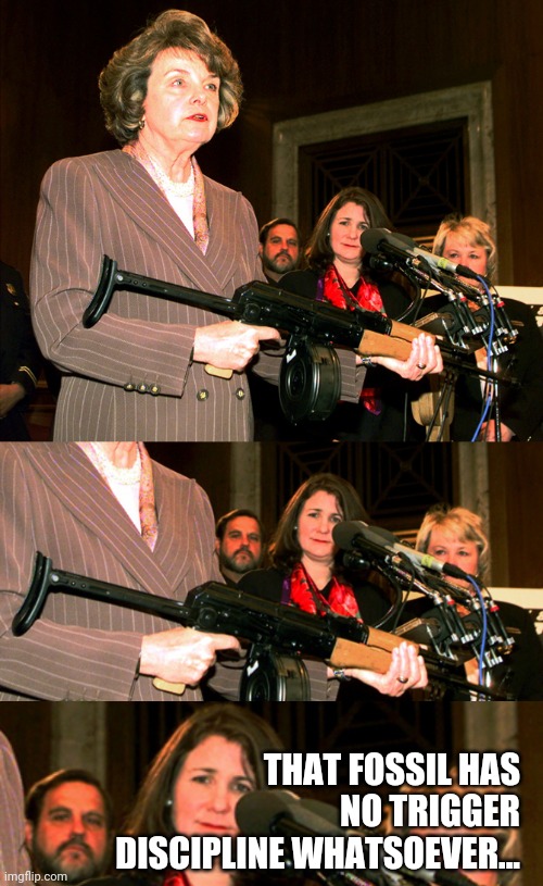 THAT FOSSIL HAS NO TRIGGER DISCIPLINE WHATSOEVER... | image tagged in diane feinstein ak47 | made w/ Imgflip meme maker