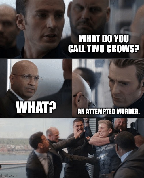 Bad Pun Cap. | WHAT DO YOU CALL TWO CROWS? WHAT? AN ATTEMPTED MURDER. | image tagged in captain america elevator fight | made w/ Imgflip meme maker