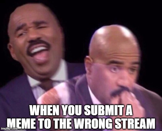 is this relatable | WHEN YOU SUBMIT A MEME TO THE WRONG STREAM | image tagged in steve harvey laughing serious | made w/ Imgflip meme maker