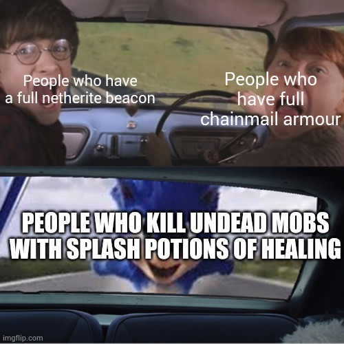 Those people are so rich | People who have full chainmail armour; People who have a full netherite beacon; PEOPLE WHO KILL UNDEAD MOBS WITH SPLASH POTIONS OF HEALING | image tagged in sonic chasing harry and ron | made w/ Imgflip meme maker