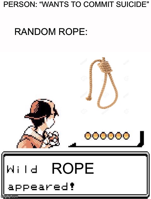Sorry if I caused offense | PERSON: “WANTS TO COMMIT SUICIDE”; RANDOM ROPE:; ROPE | image tagged in blank wild pokemon appears | made w/ Imgflip meme maker