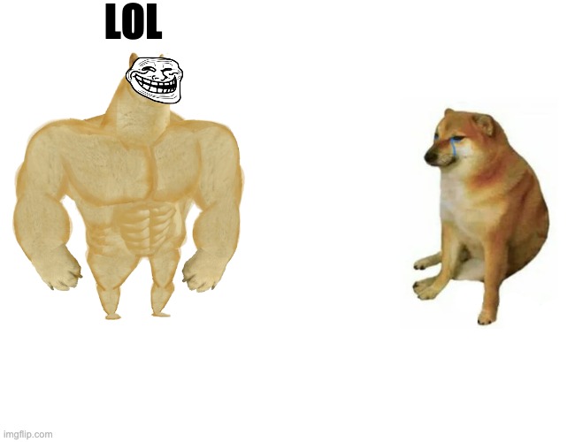 LOL | LOL | image tagged in memes,buff doge vs cheems | made w/ Imgflip meme maker