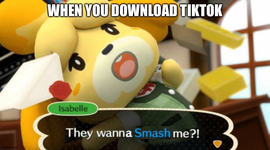 They wanna Smash me?! | WHEN YOU DOWNLOAD TIKTOK | image tagged in they wanna smash me | made w/ Imgflip meme maker